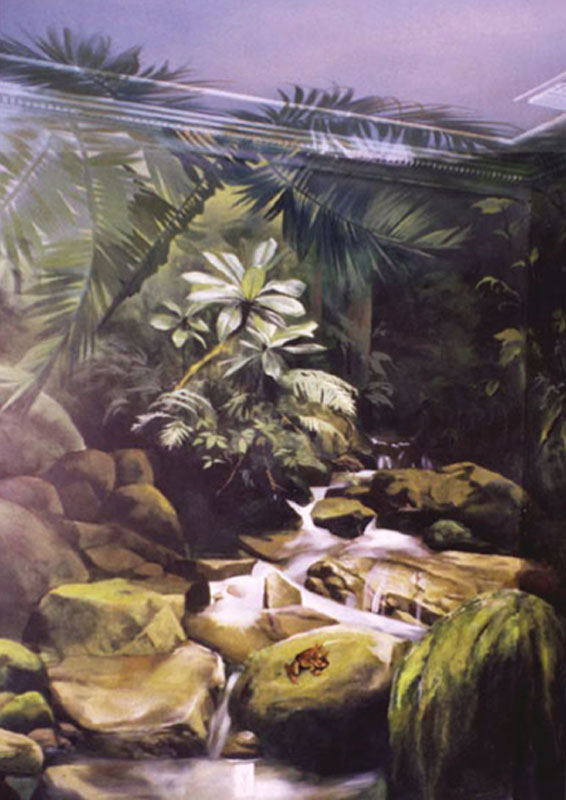jungle